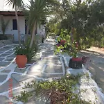 Eva Μυλοπότας