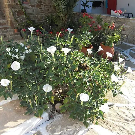 Eva Μυλοπότας